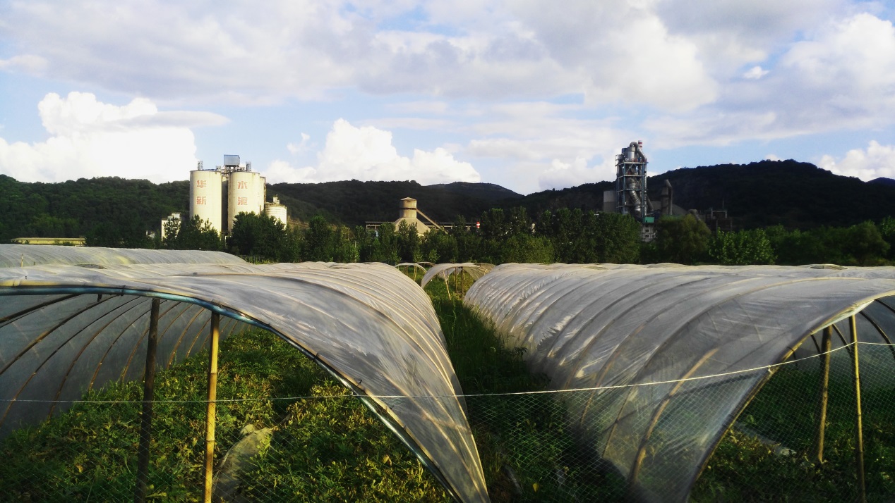 AG8亚洲国际游戏集团_首页官网