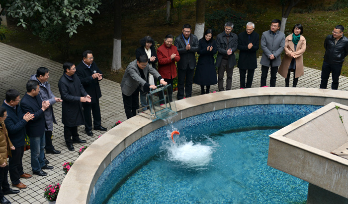 AG8亚洲国际游戏集团_首页官网